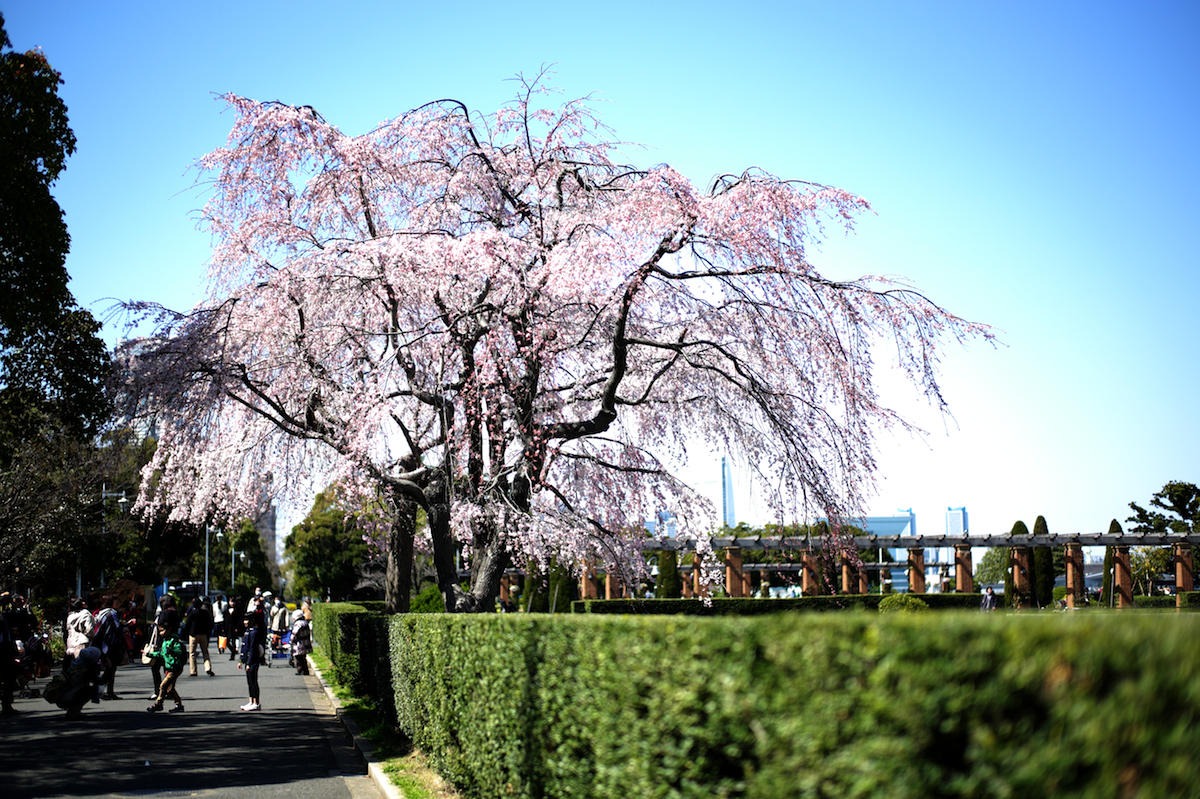 yokohama_bb 004